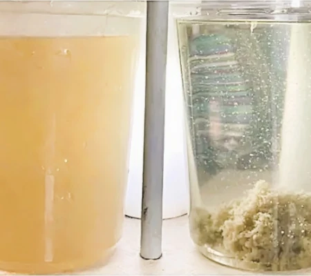 BLEFLOC PAC 51 fabricante venta